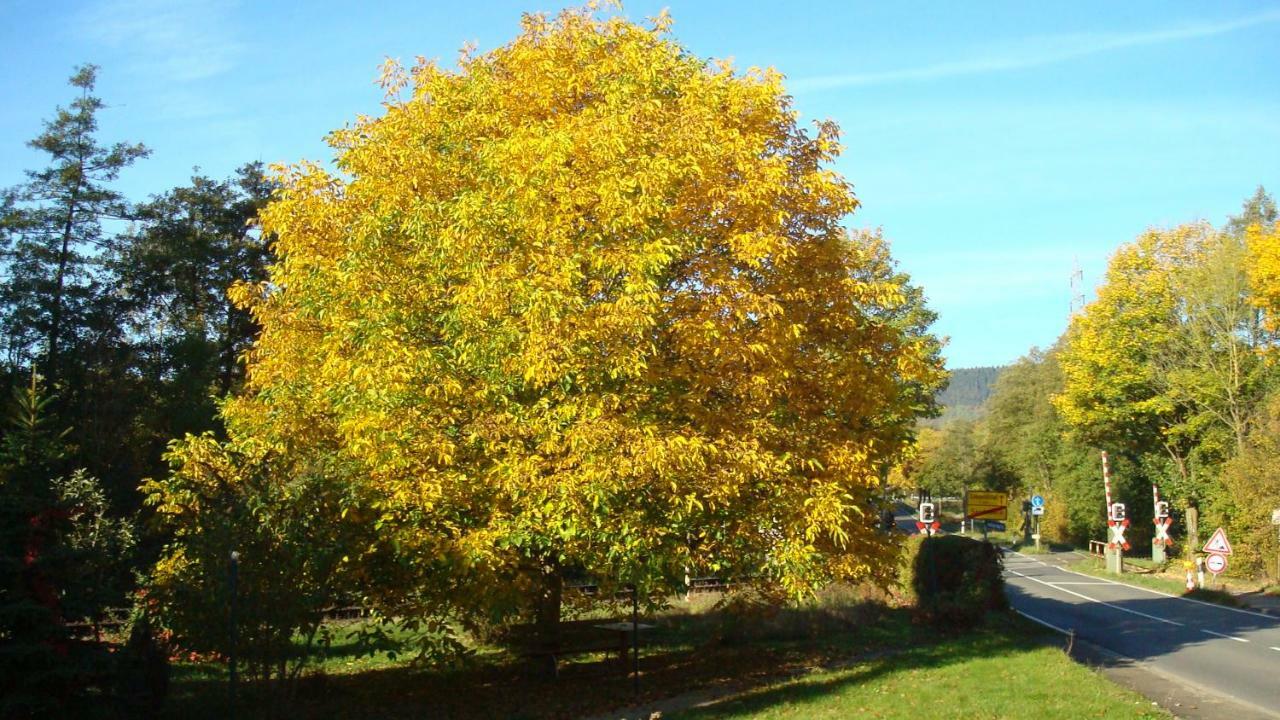Haus Am Teutoburgerwald Διαμέρισμα Sandebeck Εξωτερικό φωτογραφία